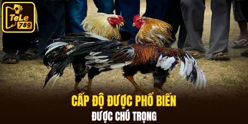 Cấp độ được phổ biến được chú trọng