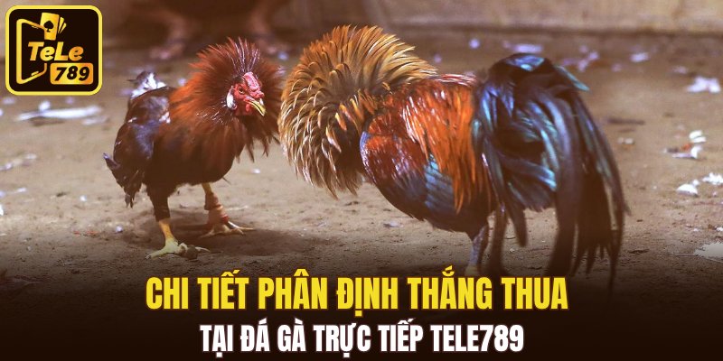 Chi tiết phân định thắng thua tại đá gà trực tiếp Tele789