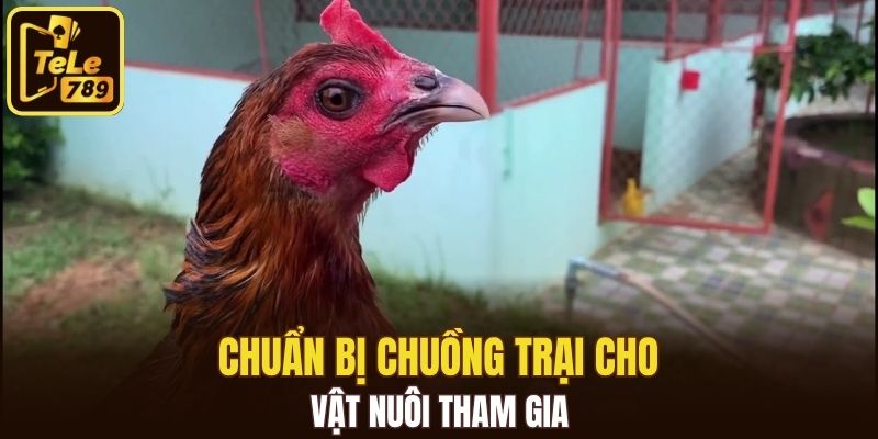 Chuẩn bị chuồng trại cho vật nuôi tham gia