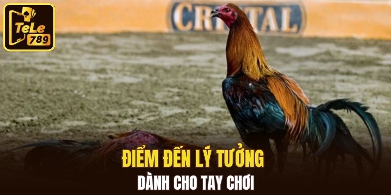 Điểm đến lý tưởng dành cho tay chơi