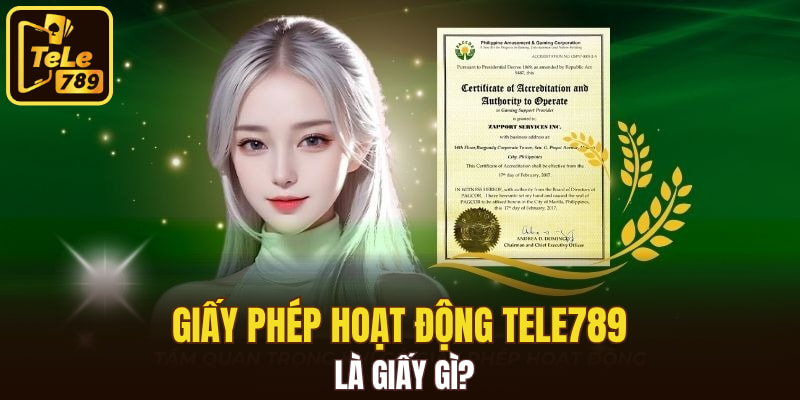 Giấy phép hoạt động Tele789 là giấy gì?
