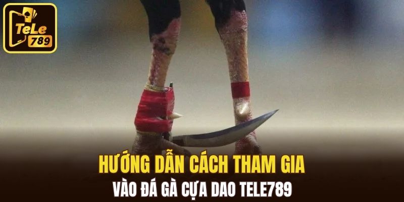 Hướng dẫn cách tham gia vào đá gà cựa dao Tele789
