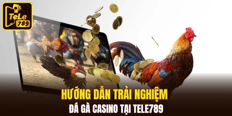 Hướng dẫn trải nghiệm đá gà casino tại Tele789