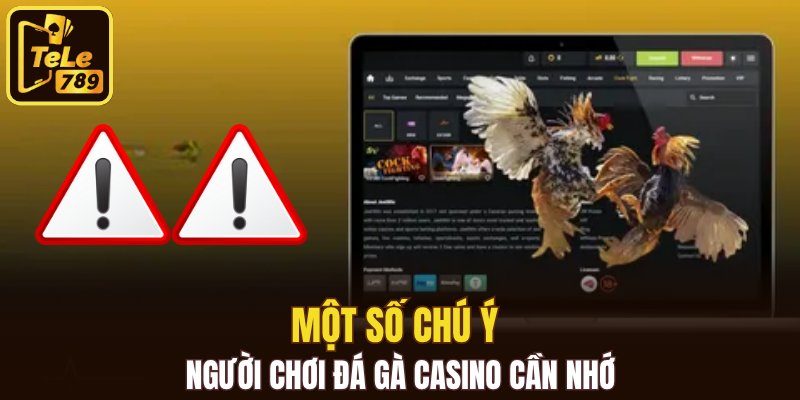 Một số chú ý người chơi đá gà casino cần nhớ