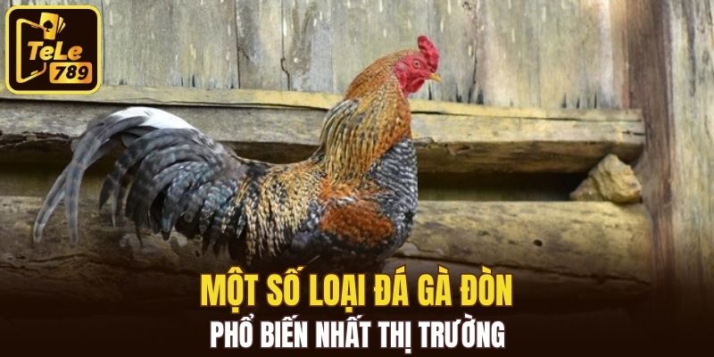 Một số loại đá gà đòn phổ biến nhất thị trường