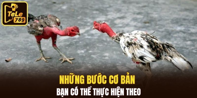 Những bước cơ bản bạn có thể thực hiện theo