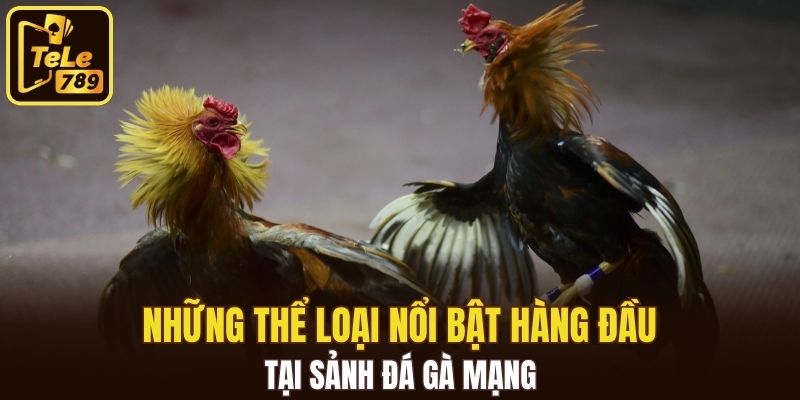 Những thể loại nổi bật hàng đầu tại sảnh đá gà mạng
