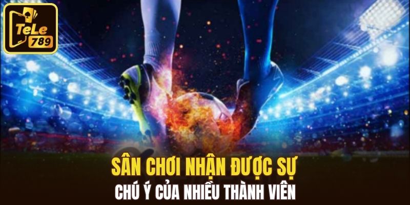 Sân chơi nhận được sự chú ý của nhiều thành viên