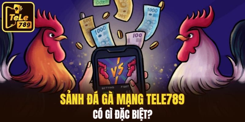 Sảnh đá gà mạng Tele789 có gì đặc biệt?