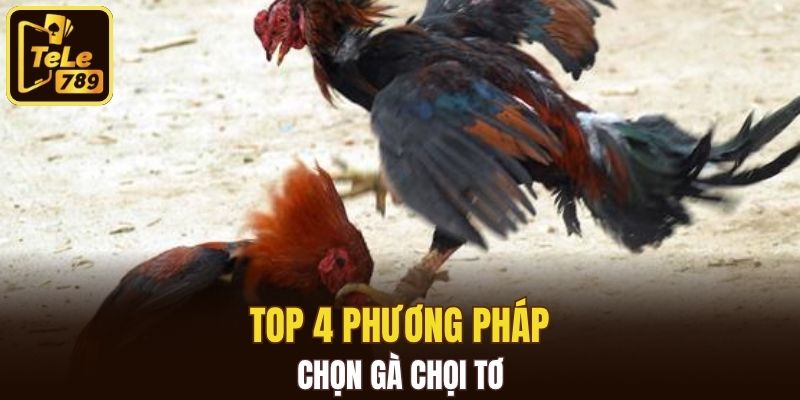 Thế đá mang tính quyết định trong việc chọn giống