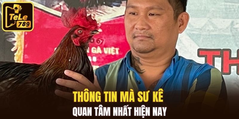 Thông tin kiến thức nuôi gà chọi mà sư kê quan tâm nhất hiện nay