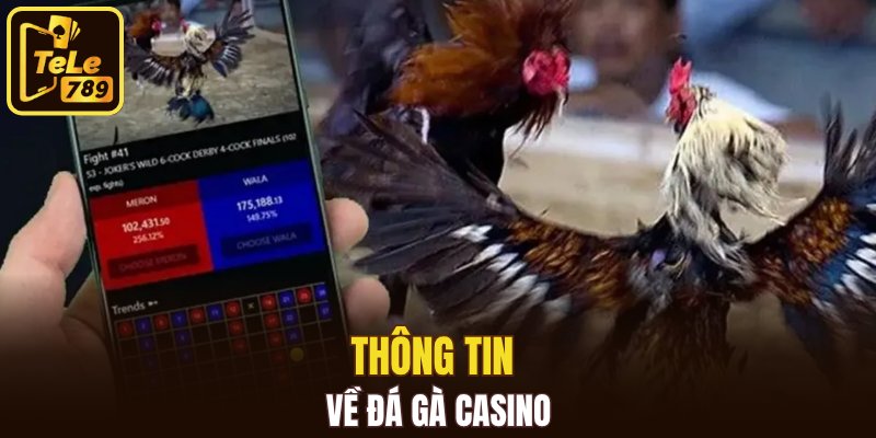 Thông tin về đá gà casino