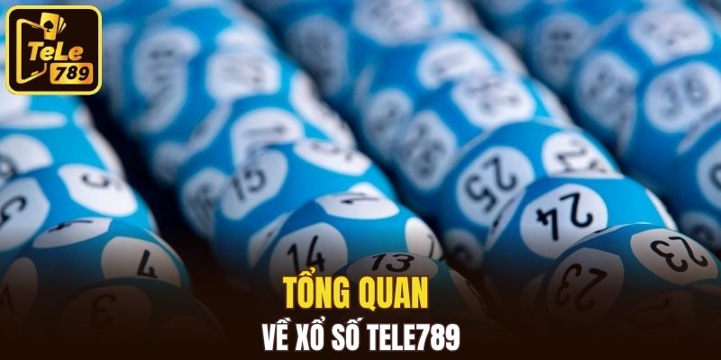 Tổng quan về xổ số Tele789