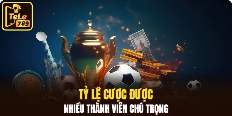 Tỷ lệ cược được nhiều thành viên chú trọng