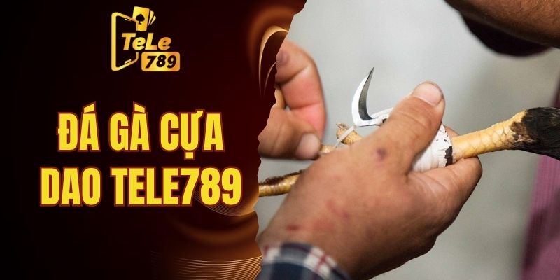 đá gà cựa dao Tele789