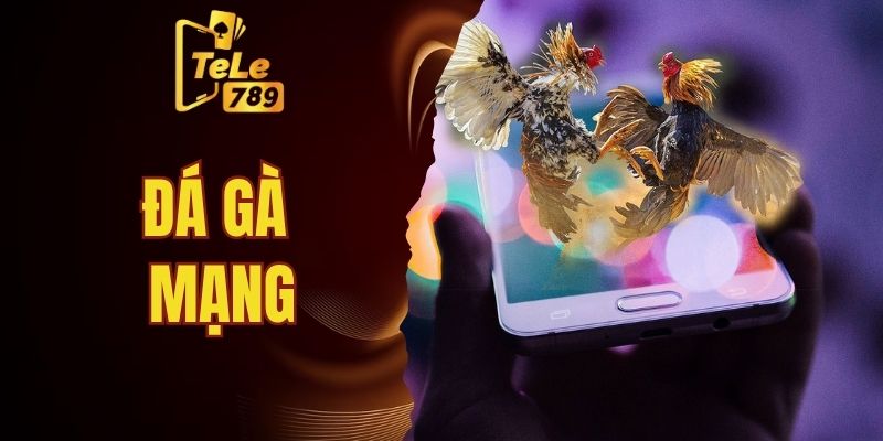 đá gà mạng