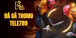 đá gà thomo Tele789